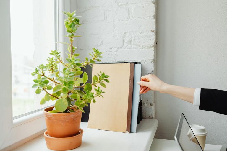 Jak stworzyć przyjazne dla środowiska miejsce pracy – proste zmiany do wdrożenia